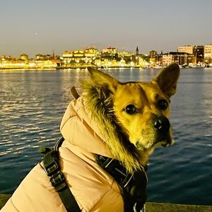 Meet your Posher, Erica